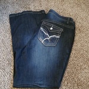 🆕Lane Bryant jeans